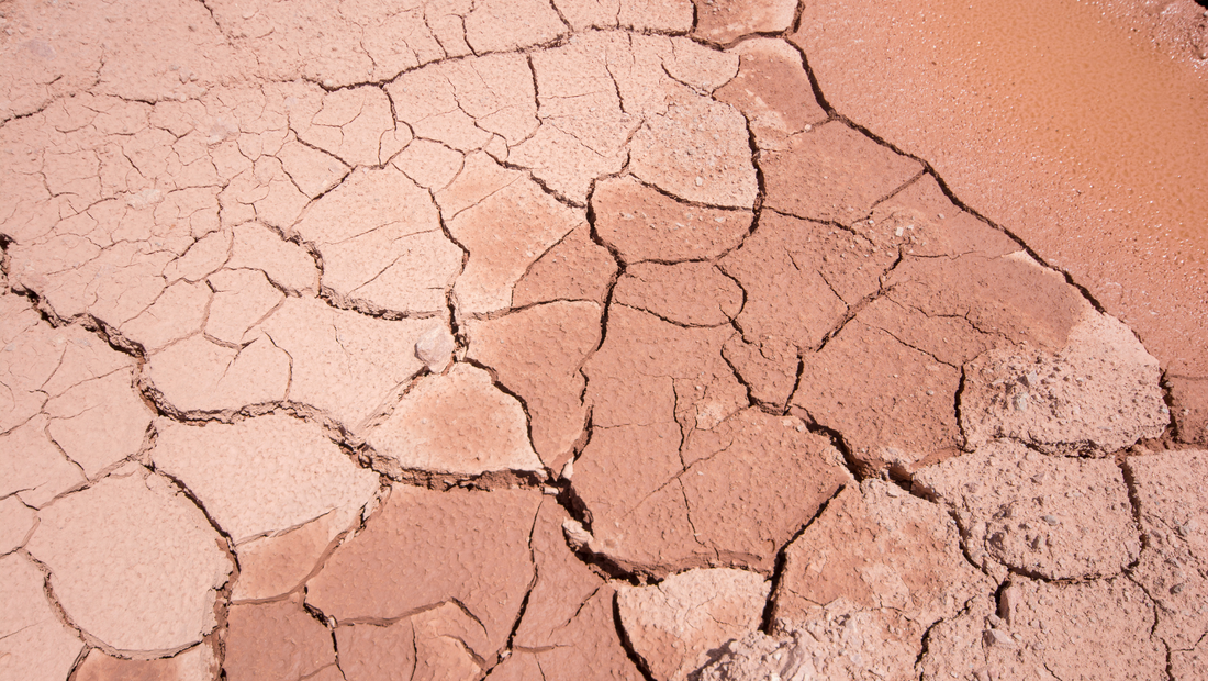 Je bois assez d’eau, pourquoi ma peau est terne et sèche ?